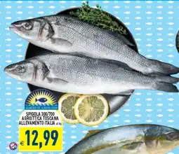 Supermercati Agorà Spigola 300/700 agroittica toscana allevamento italia offerta