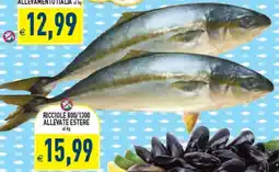 Supermercati Agorà Ricciole 800/1300 allevate estere offerta