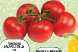 Supermercati Agorà Pomodoro grappolo italia offerta