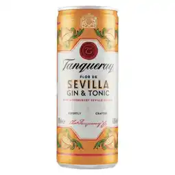 Spazio Conad GIN&TONIC TANQUERAY offerta