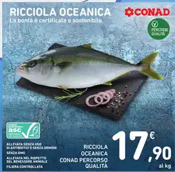 Spazio Conad Ricciola oceanica Conad Percorso Qualità offerta