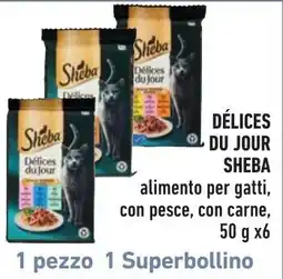Spazio Conad Déliçes du jour Sheba offerta