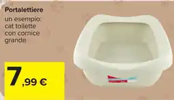Carrefour cat toilette con cornice grande offerta