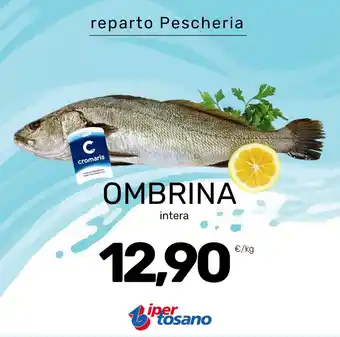 Ombrina intera Cromaris