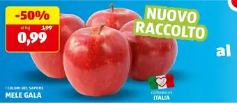 ALDI I colori del sapore mele gala offerta