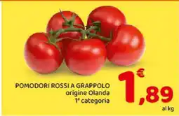 Conad Pomodori Rossi a Grappolo offerta