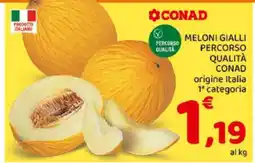 Conad Meloni Gialli offerta