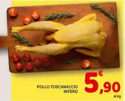 Conad POLLO TOSCANACCIO INTERO offerta