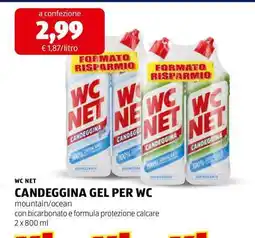 ALDI WC NET CANDEGGINA GEL PER WC offerta