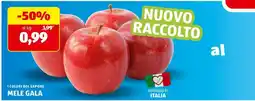 ALDI Mele Gala offerta