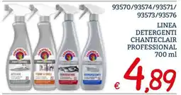 Zona Linea Detergenti Chanteclair Professional offerta