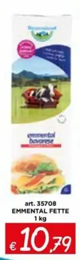 Zona emmental bavarese offerta