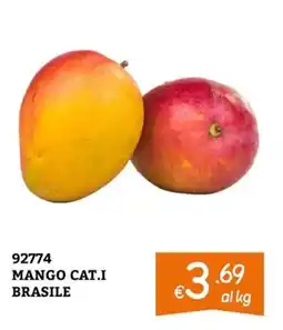 Zona Mango cat.i brasil offerta