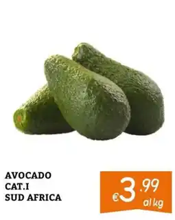 Zona Avocado Cat.I Sud Africa offerta