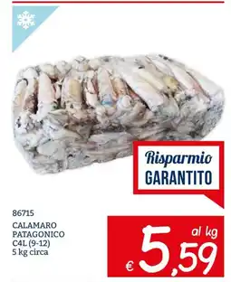 Zona Calamaro Patagonico offerta
