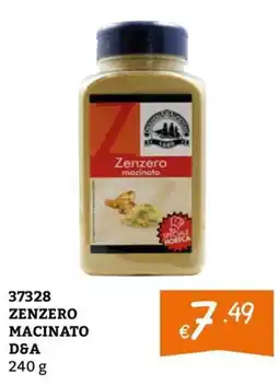 Zona Zenzero macinato offerta