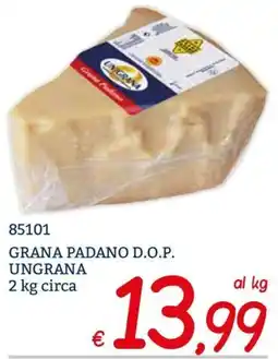 Zona Grana Padano D.O.P. Ungrana offerta