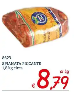 Zona Spianata piccante offerta