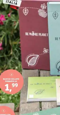 In'S Mercato Blocco collato formato A5 offerta