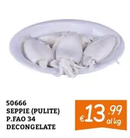 Zona Seppie (pulite) offerta