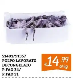 Zona Polpo lavorato offerta