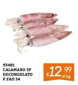 Zona Calamaro 3P offerta