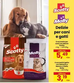 Despar Crocchette per cane con Manzo Scotty offerta