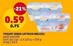 PENNY Yogurt senza lattosio Welless offerta