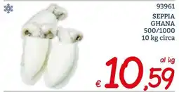 Zona Seppia ghana offerta