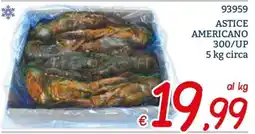 Zona Astice americano offerta