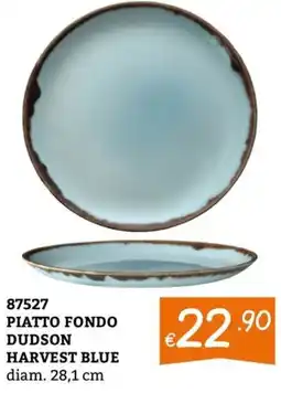 Zona Piatto fondo Dudson Harvest Blue offerta