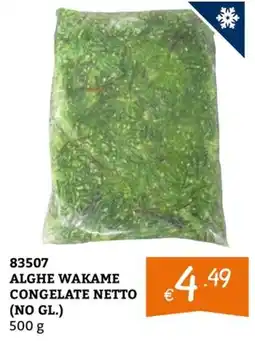 Zona Alghe Wakame Congelate Netto offerta