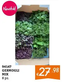 Zona Novità Germogli Mix offerta