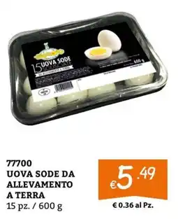 Zona Uova sode da allevamento a terra offerta