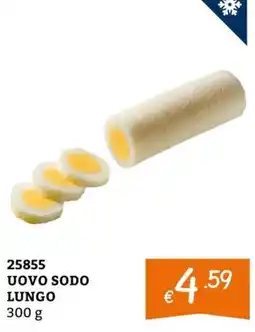 Zona Uovo Sodo Lungo offerta