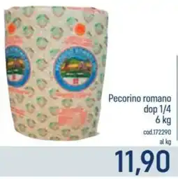 Talento Professional Store Pecorino romano dop offerta