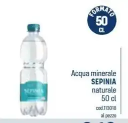Talento Professional Store Acqua minerale Sepinia naturale offerta