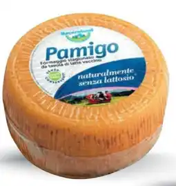 Talento Professional Store Formaggio pamigo bayernland offerta
