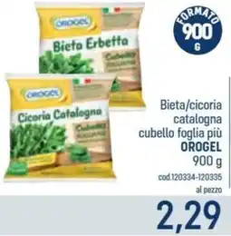 Talento Professional Store Bieta/cicoria catalogna cubello foglia più OROGEL offerta