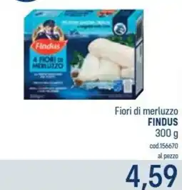 Talento Professional Store Fiori di merluzzo Findus offerta