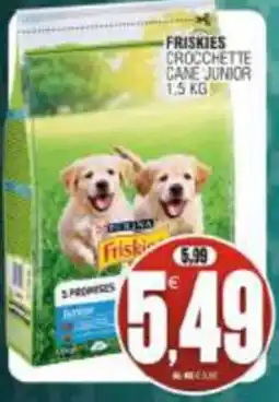 Vicino a te supermercati Friskies Crockette Cane Junior offerta