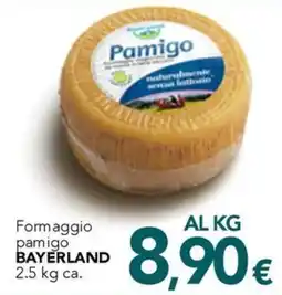 Altasfera Formaggio pamigo BAYERLAND offerta