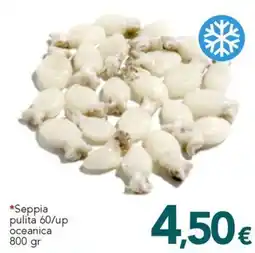 Altasfera Seppia pulita oceanica offerta