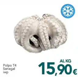 Altasfera Polpo T4 Senegal iwp offerta