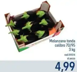Talento Professional Store Melanzana tonda offerta