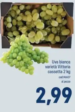 Talento Professional Store Uva bianca varietà Vittoria offerta