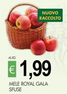 PrestoFresco Mele Royal Gala offerta