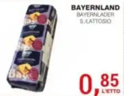 Supermercati Spesa Mia Bayerland s.lattosio offerta