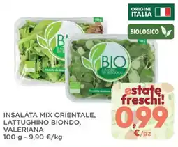 Orvea Insalata mix orientale, lattughino biondo, valeriana offerta