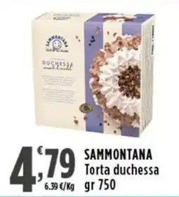 Rossotono Carrefour Sammontana Torta duchessa offerta